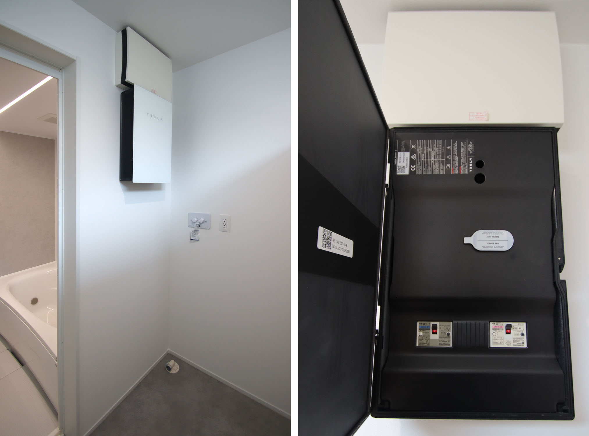 オリジナル交配実生苗 窓口 オリジナル交配実生苗 窓口 オリジナル交配.実生苗 窓口